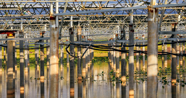 Lake solar photovoltaic power station under construction